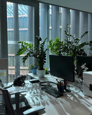 Untitled design (42)